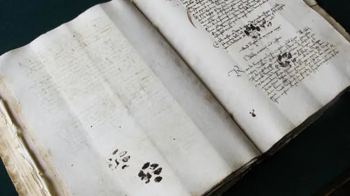 A historian discovers paw prints—presumably those of a cat—on a medieval manuscript.