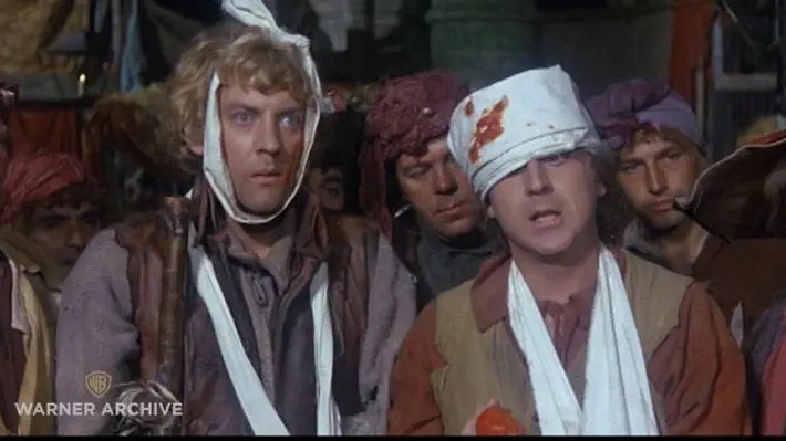 So bad it is not even good. Directed by Bud Yorkin. With Gene Wilder, Donald Sutherland, Hugh Griffith, Jack MacGowran. Two mismatched sets of identical twins - one aristocrat, one peasant - mistakenly exchange identities on the eve of the French Revolution.