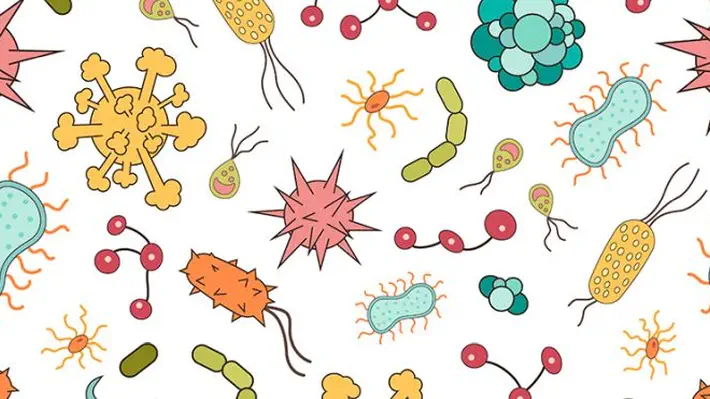 Evidence has mounted that the gut microbiome can influence neural development, brain chemistry and a wide range of behavioral phenomena, including emotional behavior, pain perception and how the stress system responds.